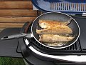 trout for Sunday breakfast